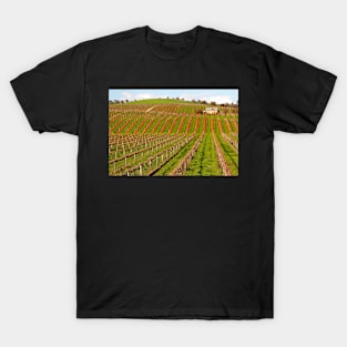 Australian Vineyard Landscape T-Shirt